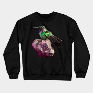 Hummingbird and Amethyst Crystal Crewneck Sweatshirt